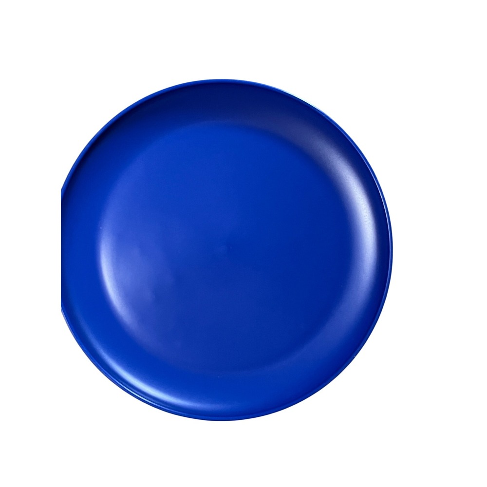 Room Essentials Blue Set of 24 Plastic Plates